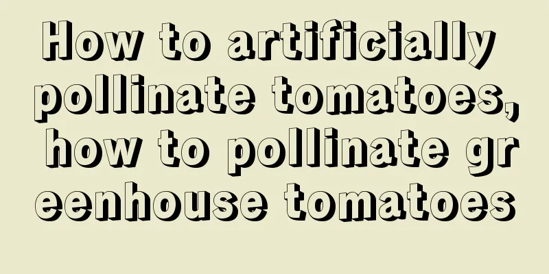 How to artificially pollinate tomatoes, how to pollinate greenhouse tomatoes