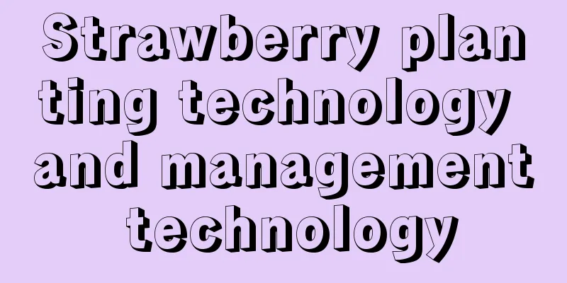 Strawberry planting technology and management technology