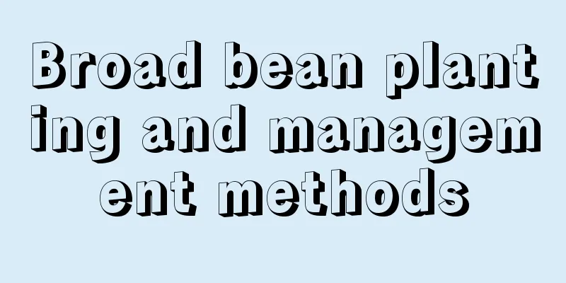 Broad bean planting and management methods