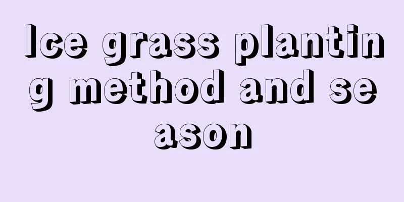 Ice grass planting method and season