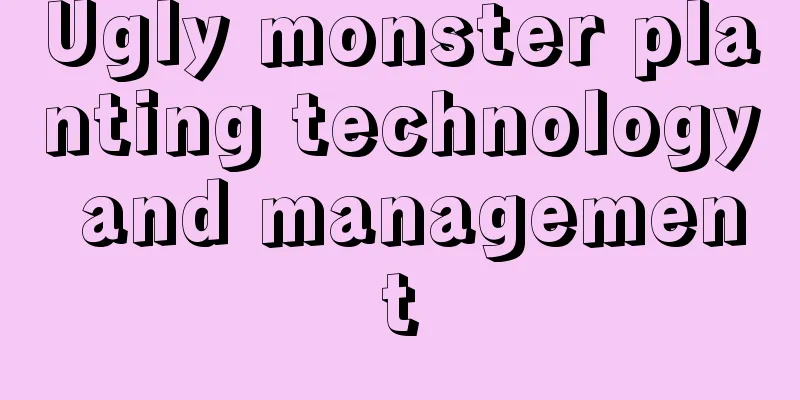 Ugly monster planting technology and management