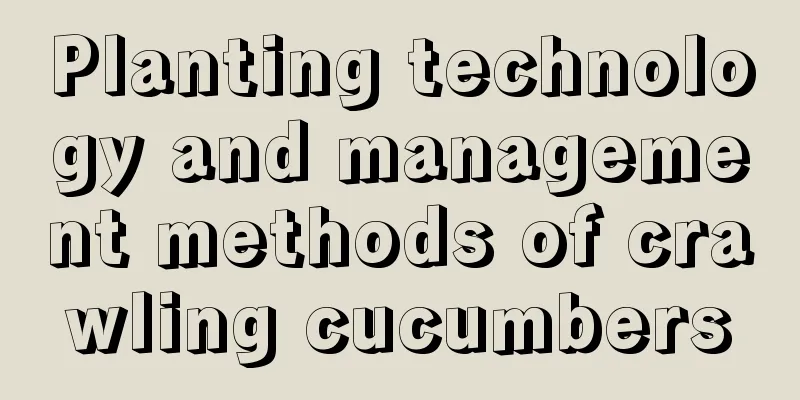 Planting technology and management methods of crawling cucumbers