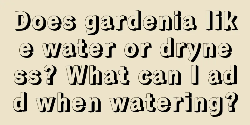 Does gardenia like water or dryness? What can I add when watering?