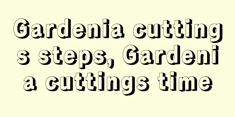 Gardenia cuttings steps, Gardenia cuttings time