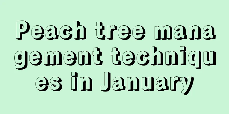 Peach tree management techniques in January