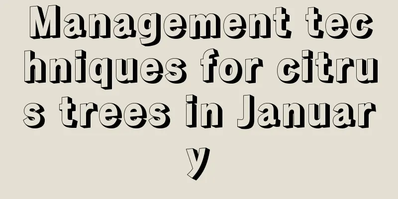 Management techniques for citrus trees in January