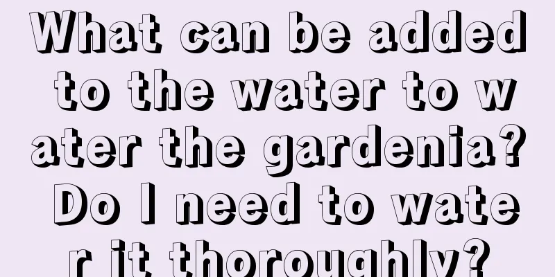 What can be added to the water to water the gardenia? Do I need to water it thoroughly?