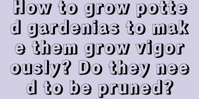 How to grow potted gardenias to make them grow vigorously? Do they need to be pruned?