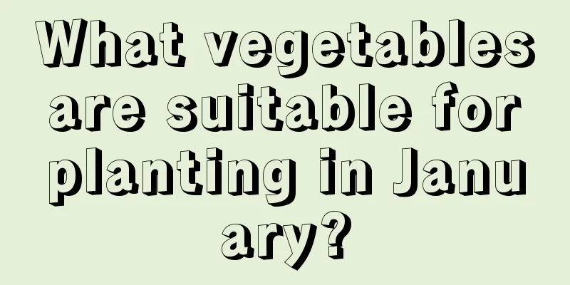 What vegetables are suitable for planting in January?