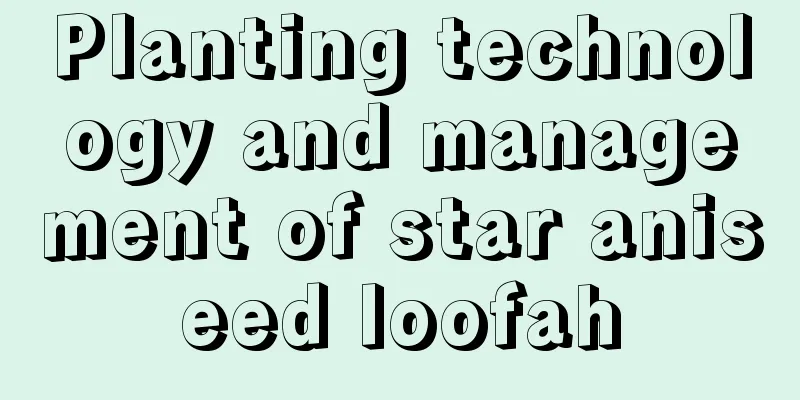 Planting technology and management of star aniseed loofah