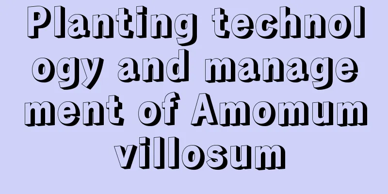 Planting technology and management of Amomum villosum