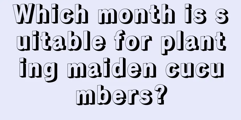 Which month is suitable for planting maiden cucumbers?