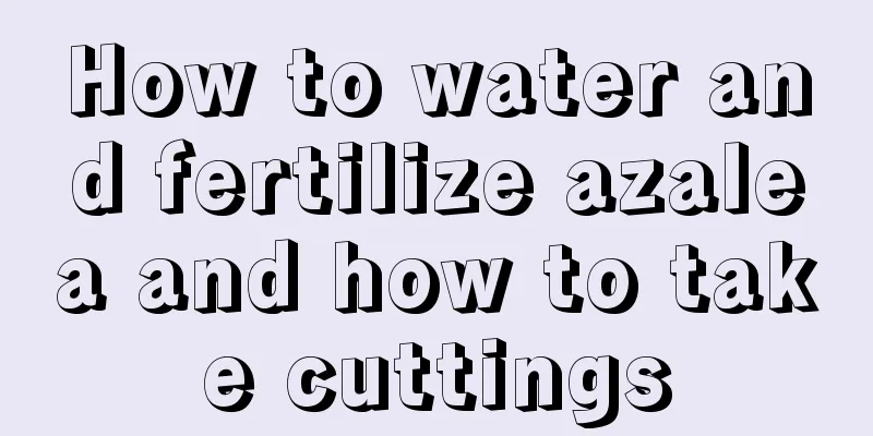 How to water and fertilize azalea and how to take cuttings