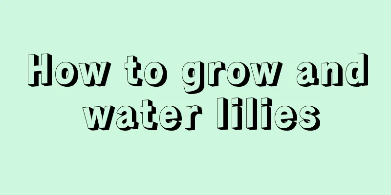 How to grow and water lilies