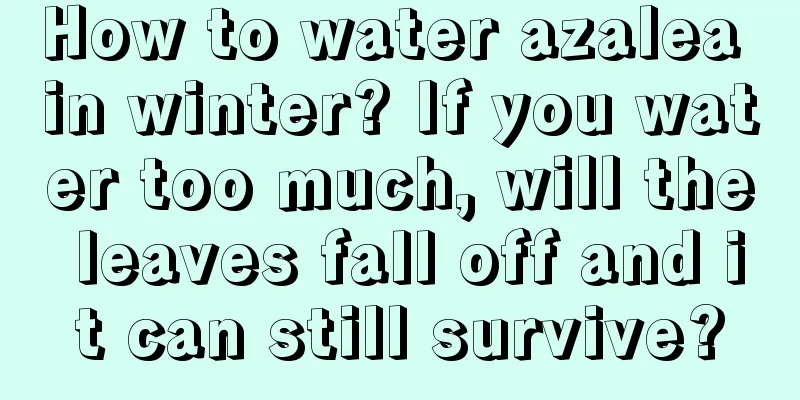 How to water azalea in winter? If you water too much, will the leaves fall off and it can still survive?