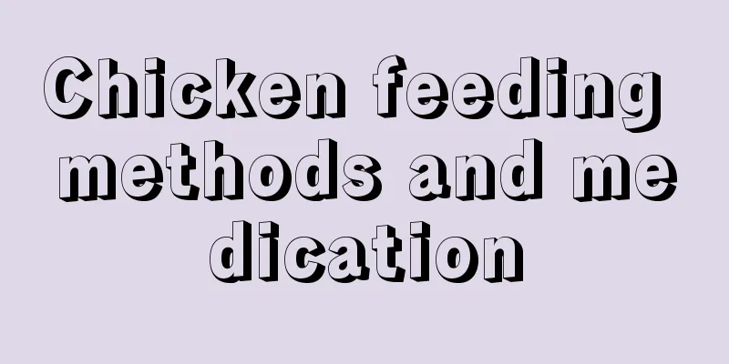 Chicken feeding methods and medication