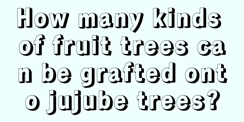 How many kinds of fruit trees can be grafted onto jujube trees?