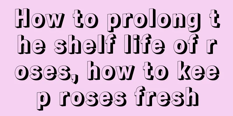 How to prolong the shelf life of roses, how to keep roses fresh