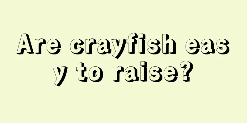 Are crayfish easy to raise?