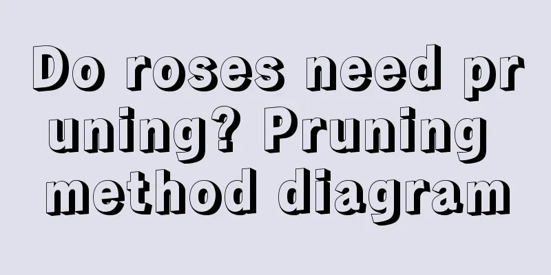 Do roses need pruning? Pruning method diagram