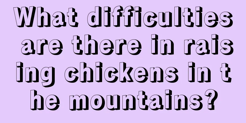 What difficulties are there in raising chickens in the mountains?