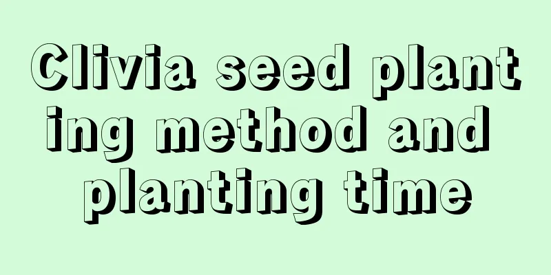 Clivia seed planting method and planting time