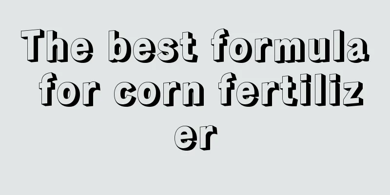 The best formula for corn fertilizer