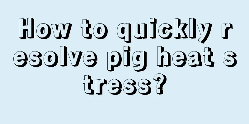 How to quickly resolve pig heat stress?