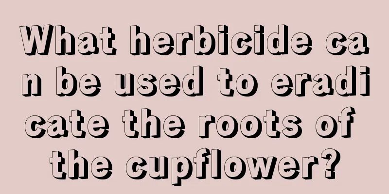 What herbicide can be used to eradicate the roots of the cupflower?