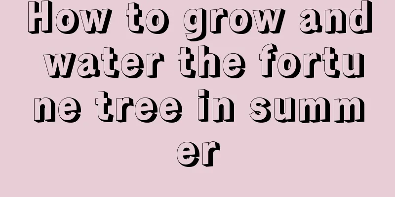 How to grow and water the fortune tree in summer