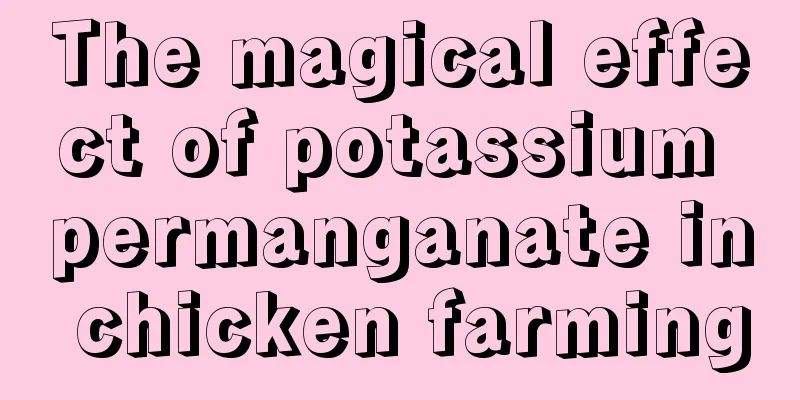 The magical effect of potassium permanganate in chicken farming