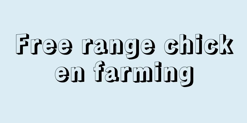 Free range chicken farming