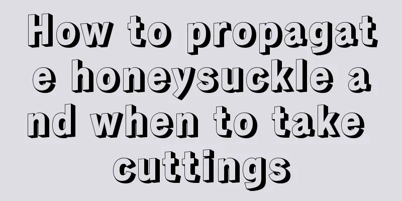 How to propagate honeysuckle and when to take cuttings