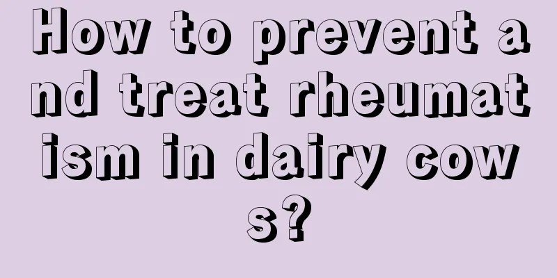 How to prevent and treat rheumatism in dairy cows?