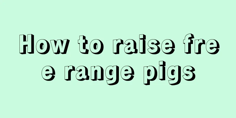 How to raise free range pigs