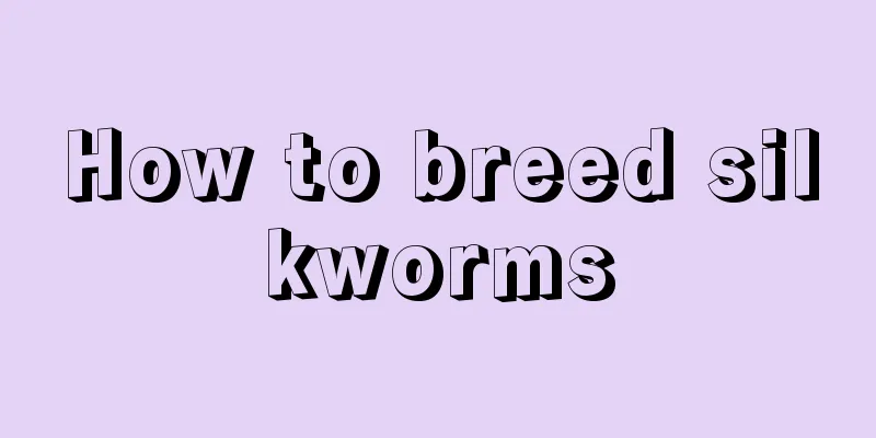 How to breed silkworms