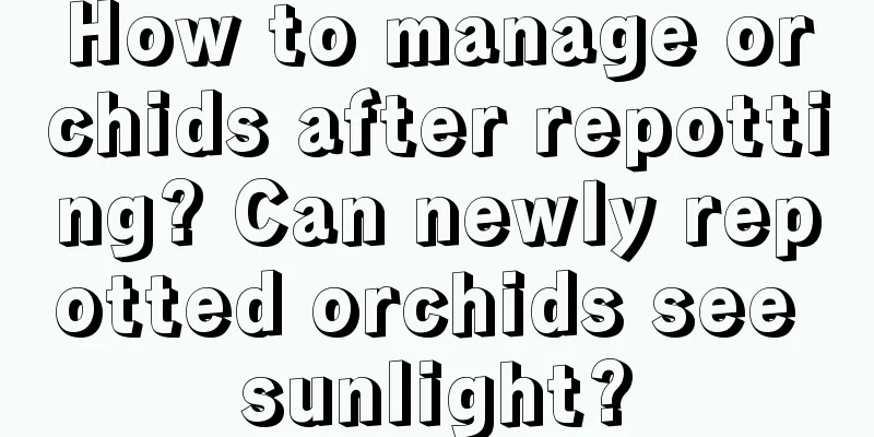 How to manage orchids after repotting? Can newly repotted orchids see sunlight?