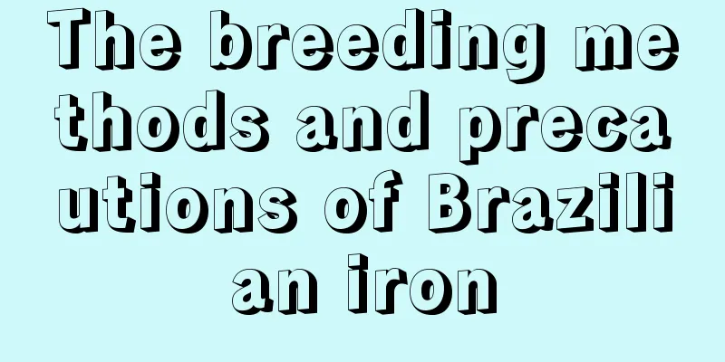 The breeding methods and precautions of Brazilian iron