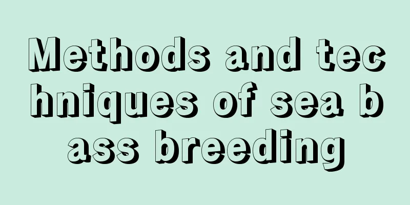 Methods and techniques of sea bass breeding