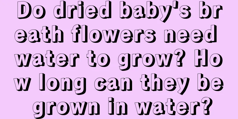 Do dried baby's breath flowers need water to grow? How long can they be grown in water?