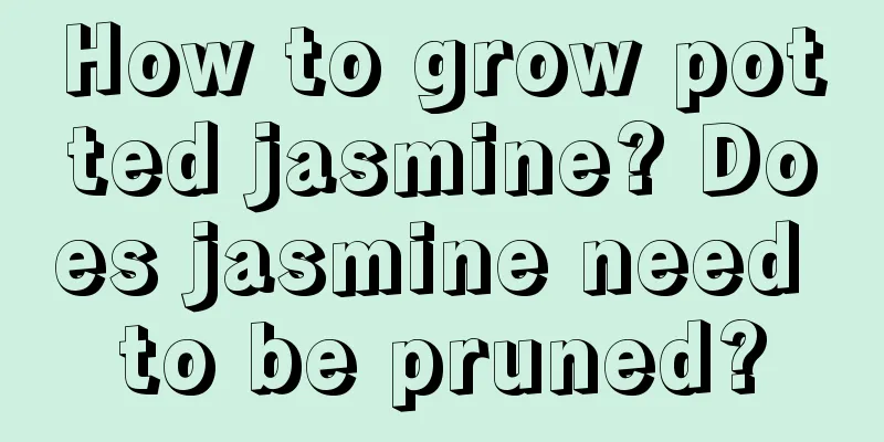 How to grow potted jasmine? Does jasmine need to be pruned?