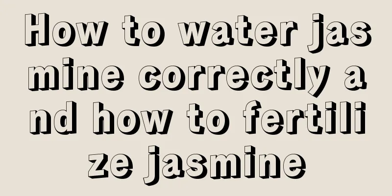 How to water jasmine correctly and how to fertilize jasmine