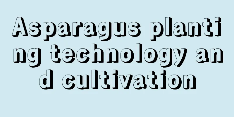 Asparagus planting technology and cultivation