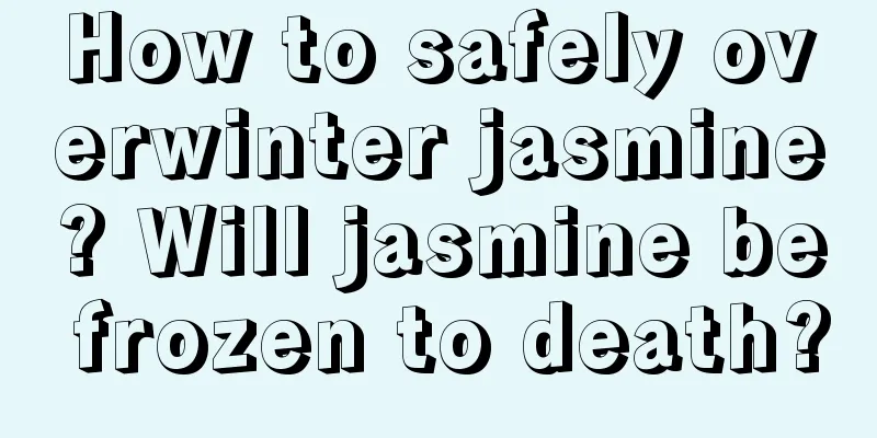 How to safely overwinter jasmine? Will jasmine be frozen to death?