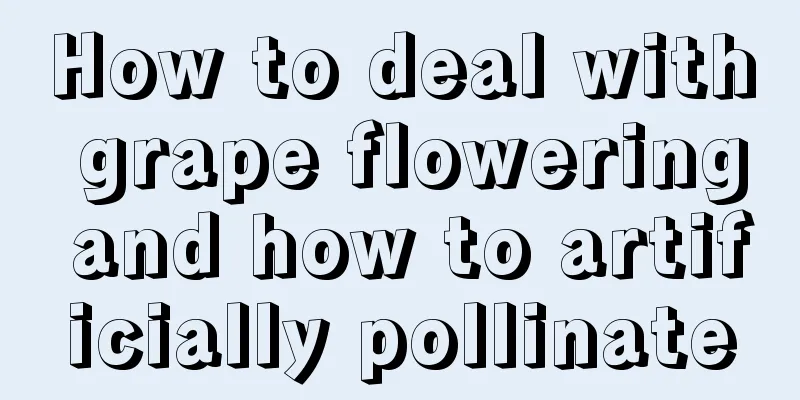 How to deal with grape flowering and how to artificially pollinate