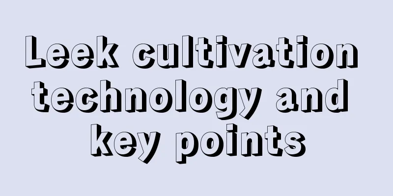 Leek cultivation technology and key points