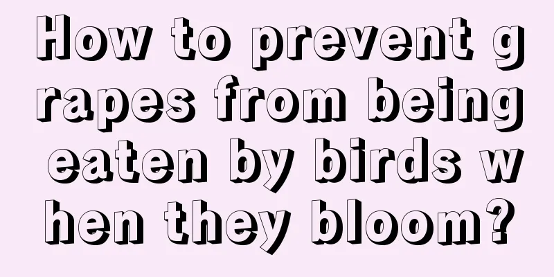 How to prevent grapes from being eaten by birds when they bloom?