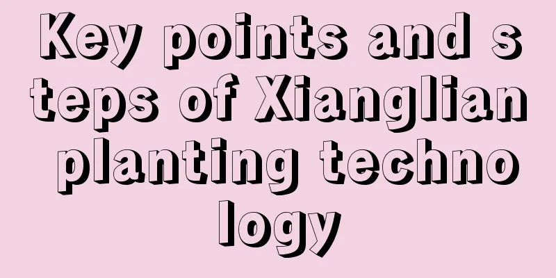 Key points and steps of Xianglian planting technology