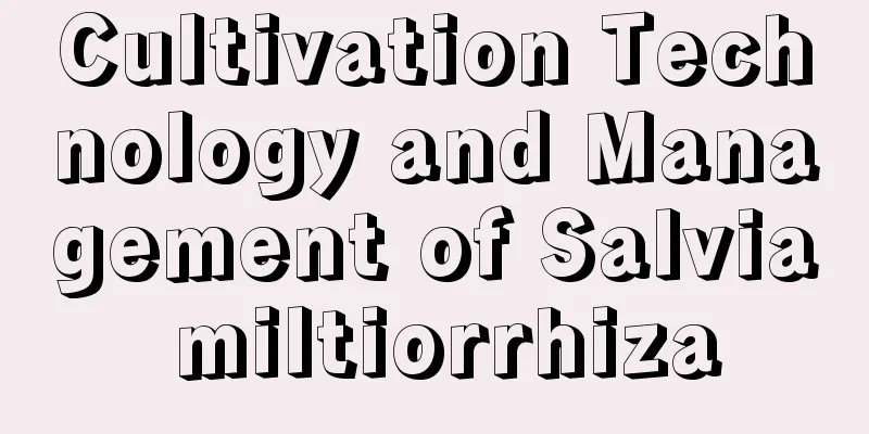 Cultivation Technology and Management of Salvia miltiorrhiza