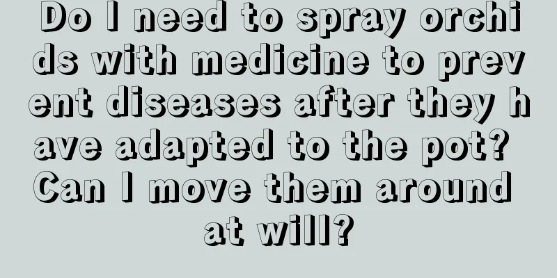 Do I need to spray orchids with medicine to prevent diseases after they have adapted to the pot? Can I move them around at will?